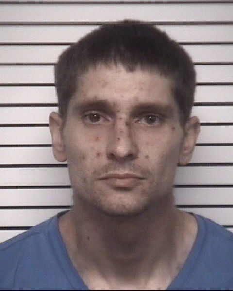 Matthew Cole Chapman